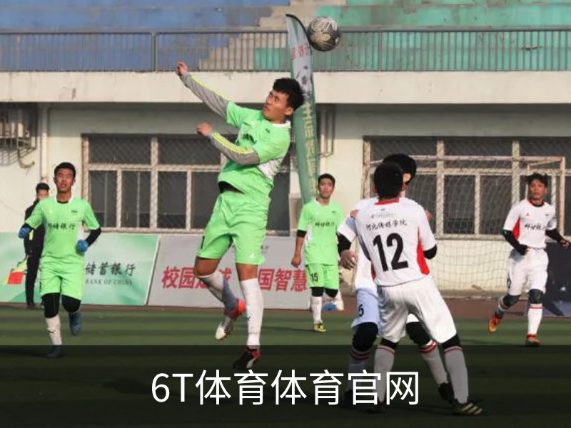 6T体育体育官网品牌故事